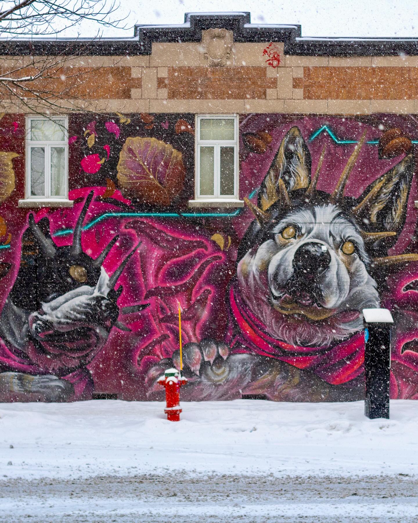 Photograph by Charlotte Gaillard