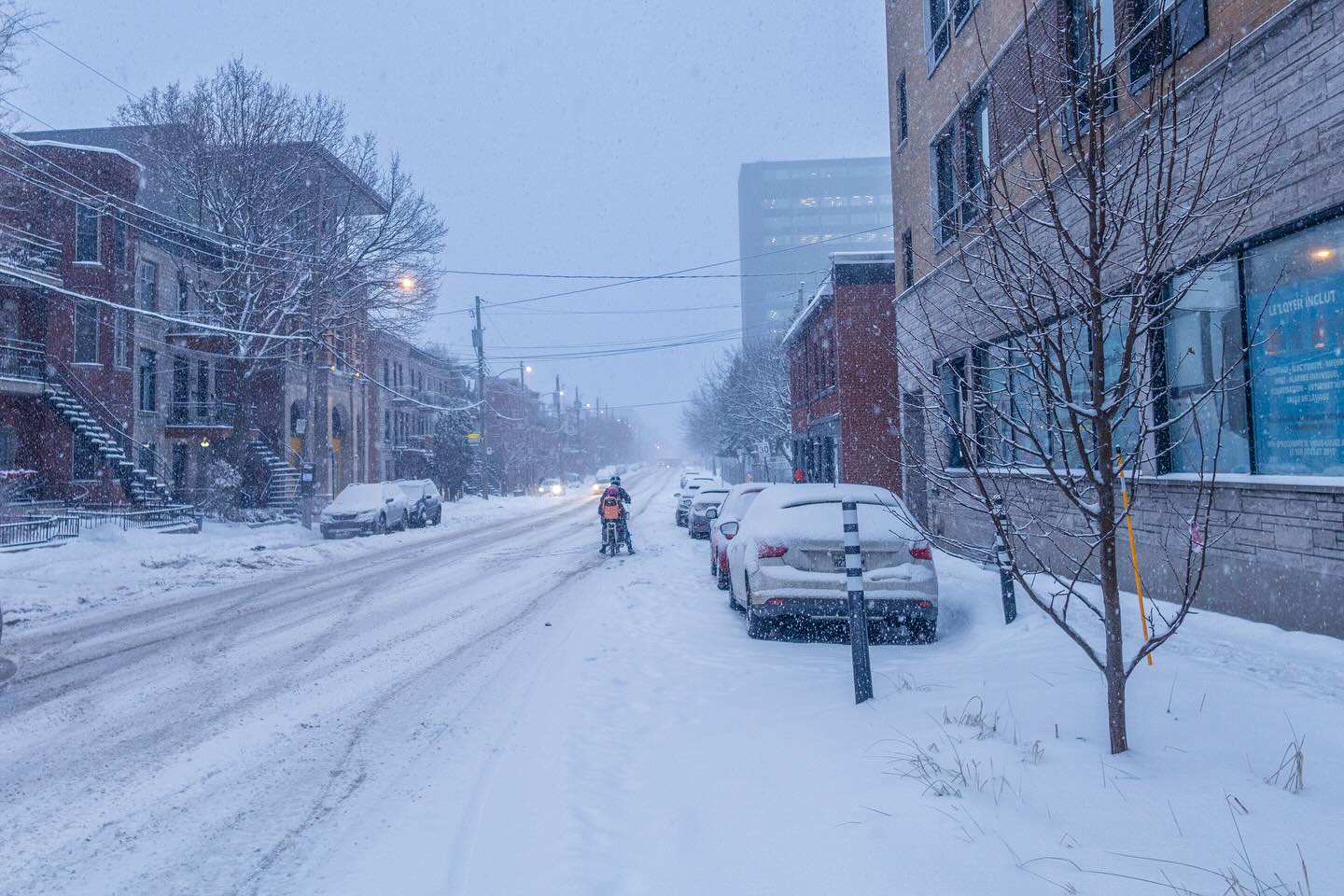 Photograph by Charlotte Gaillard