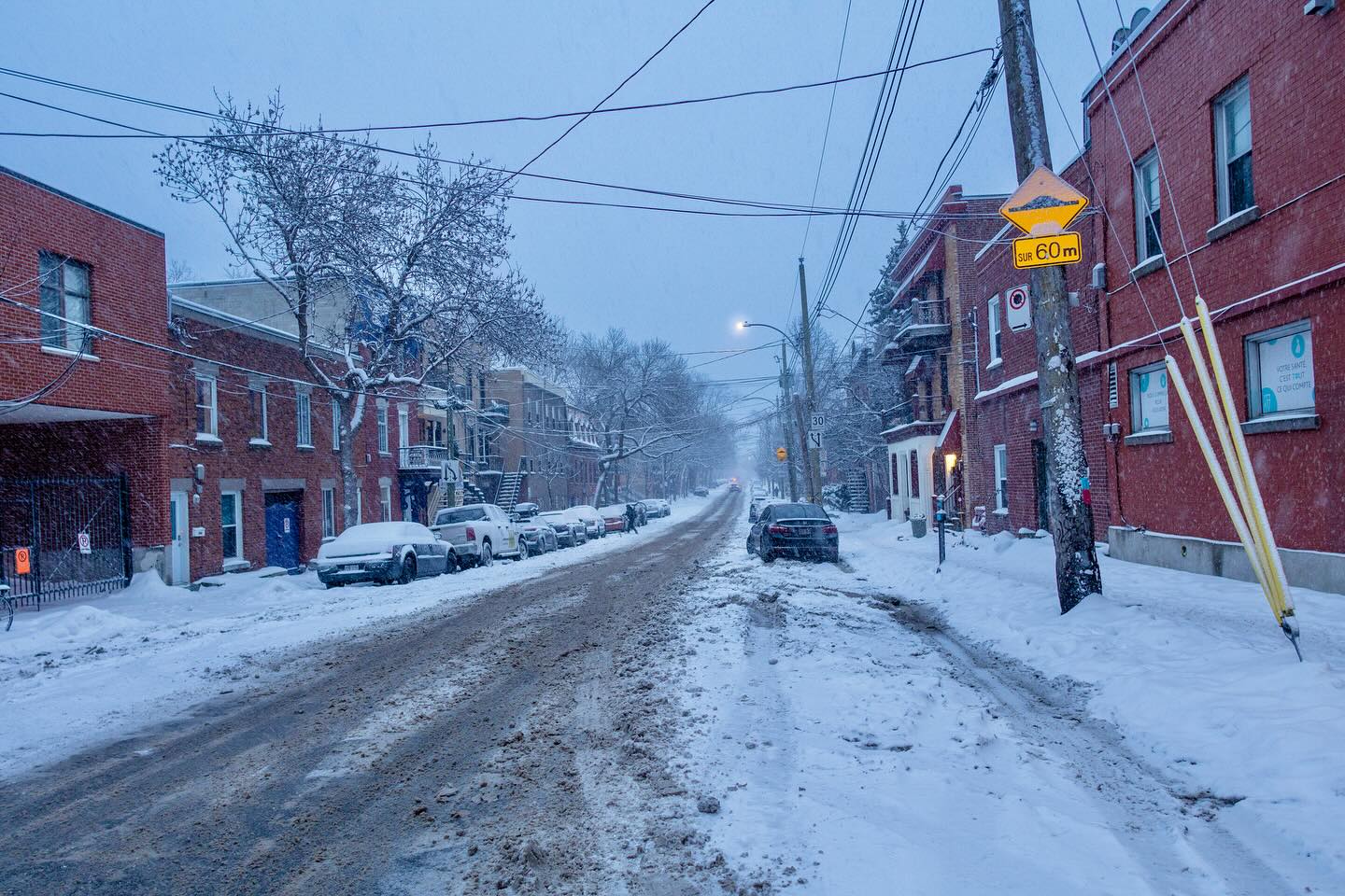 Photograph by Charlotte Gaillard