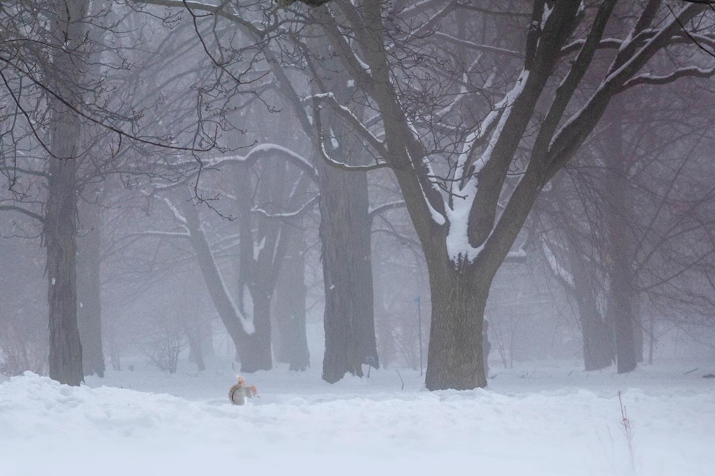 Photograph by Charlotte Gaillard