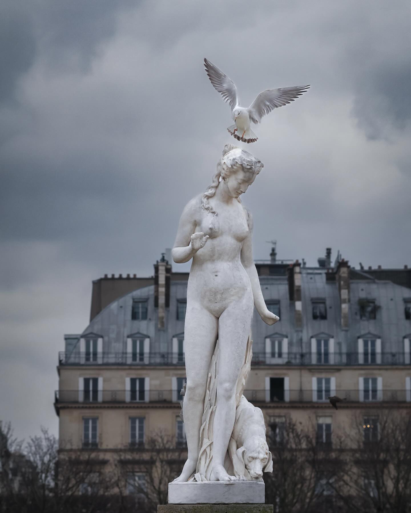 Photograph by Charlotte Gaillard