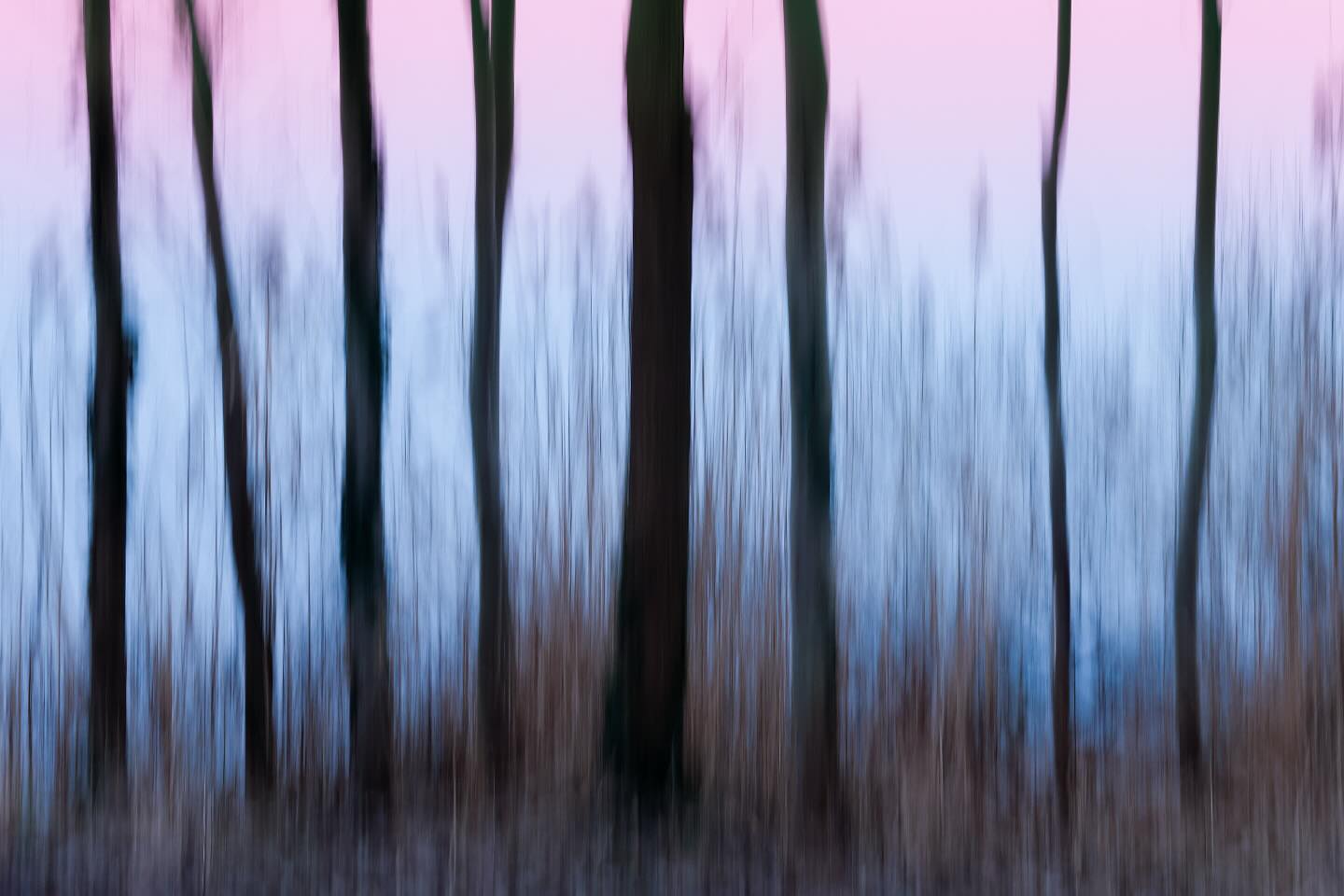 Photograph by Charlotte Gaillard