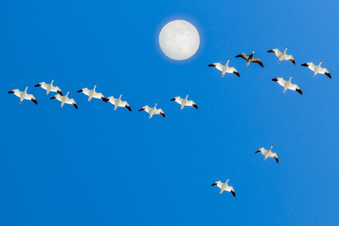 Photograph by Charlotte Gaillard