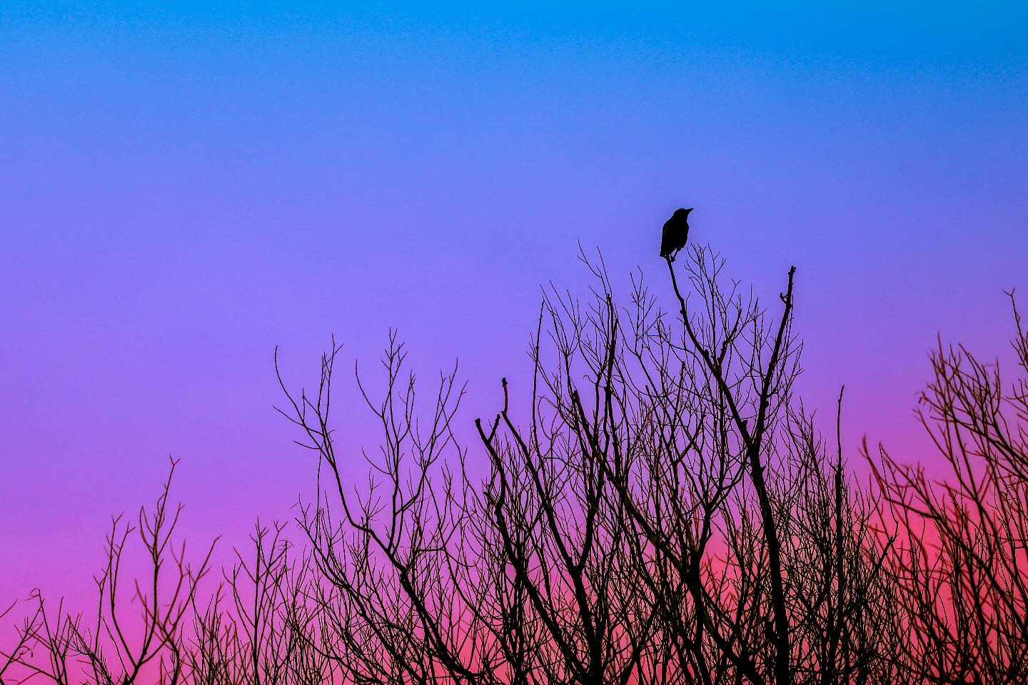 Photograph by Charlotte Gaillard