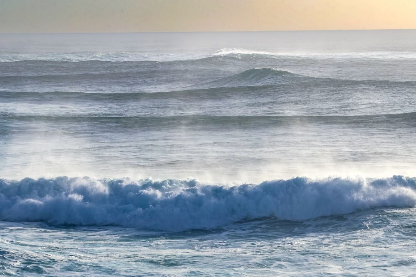 Photograph by Charlotte Gaillard