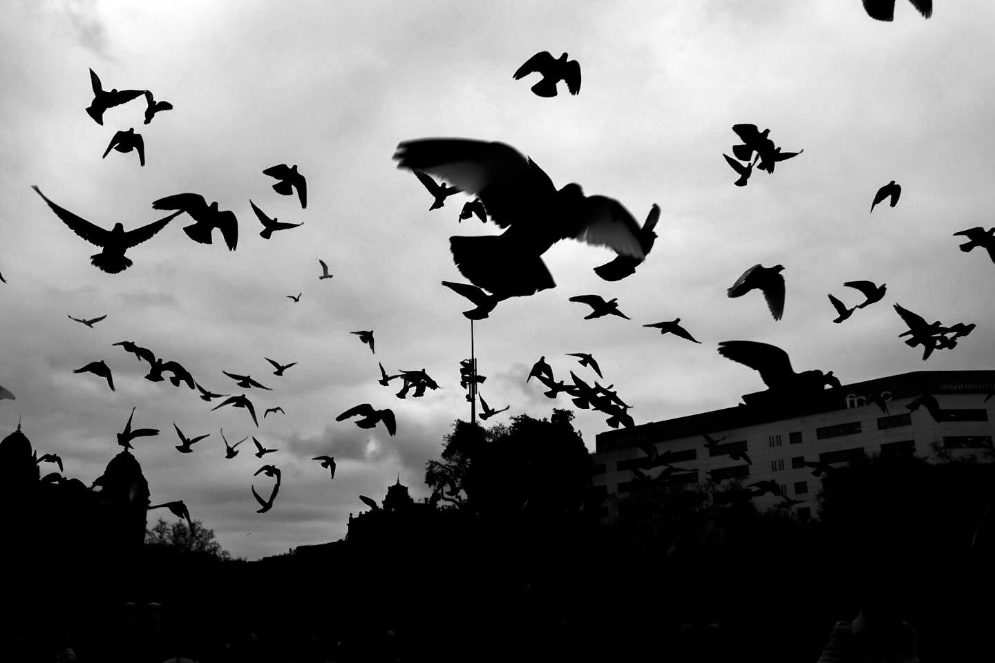 Photograph by Charlotte Gaillard