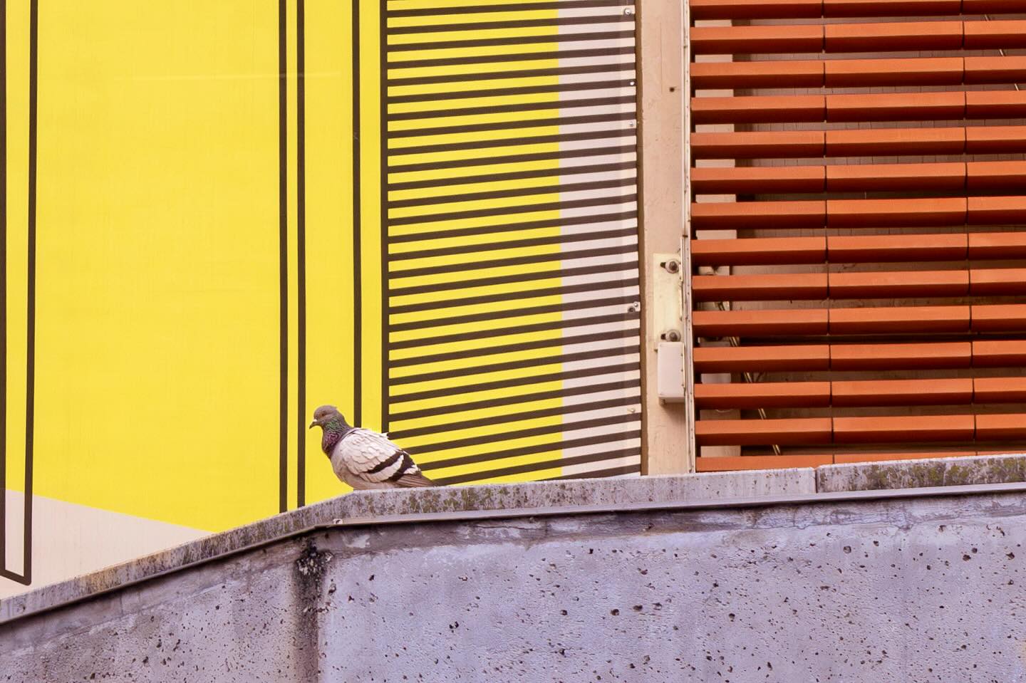 Photograph by Charlotte Gaillard