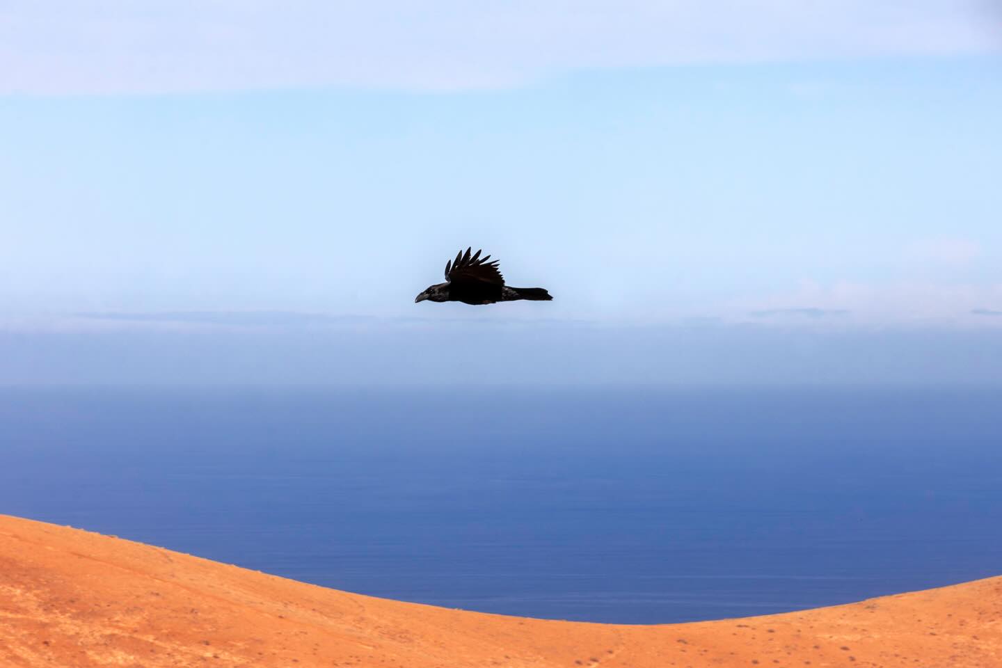 Photograph by Charlotte Gaillard