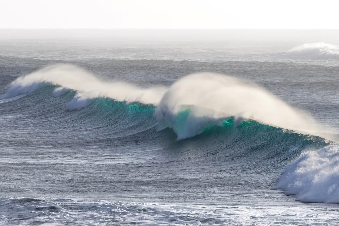 Photograph by Charlotte Gaillard