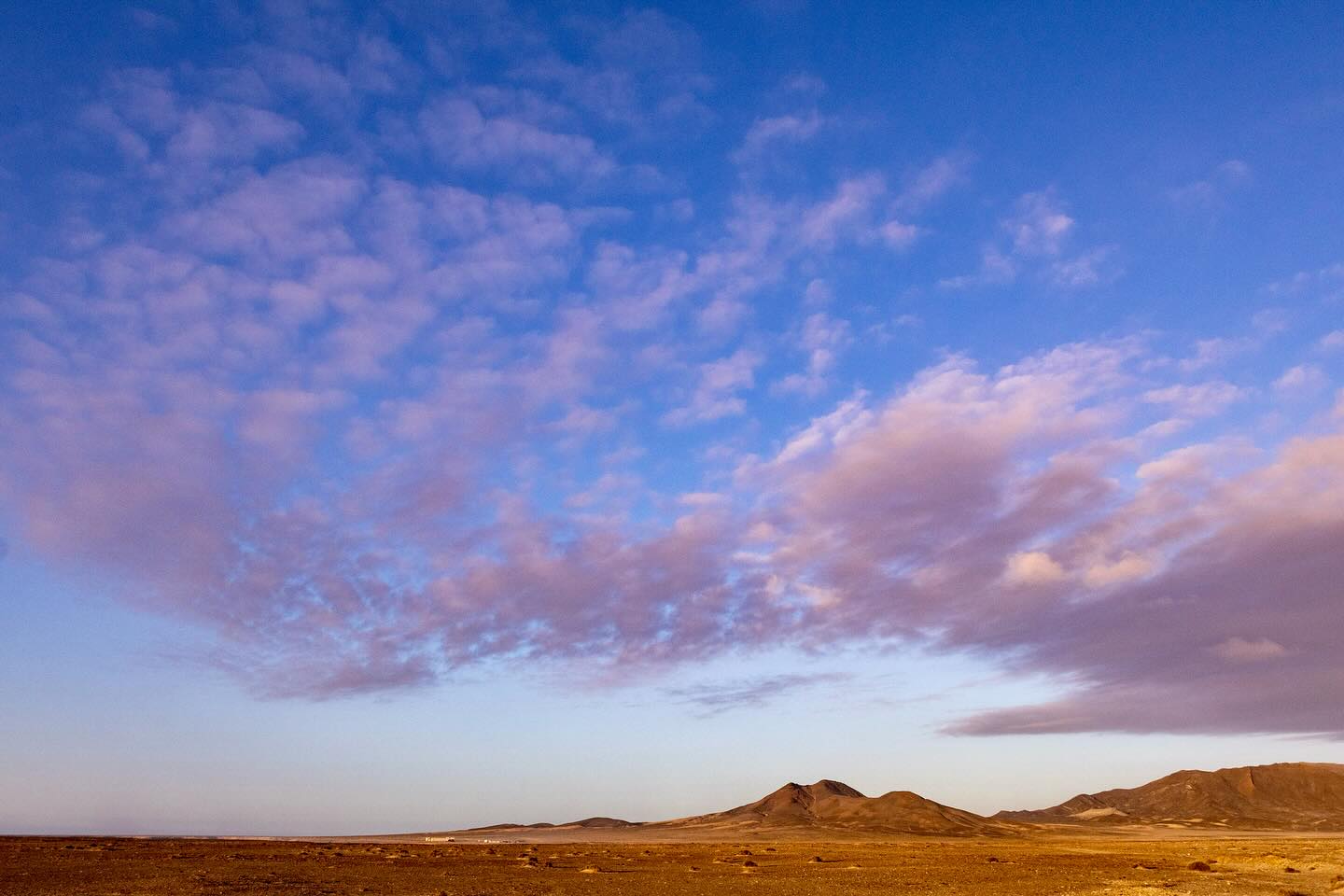 Photograph by Charlotte Gaillard