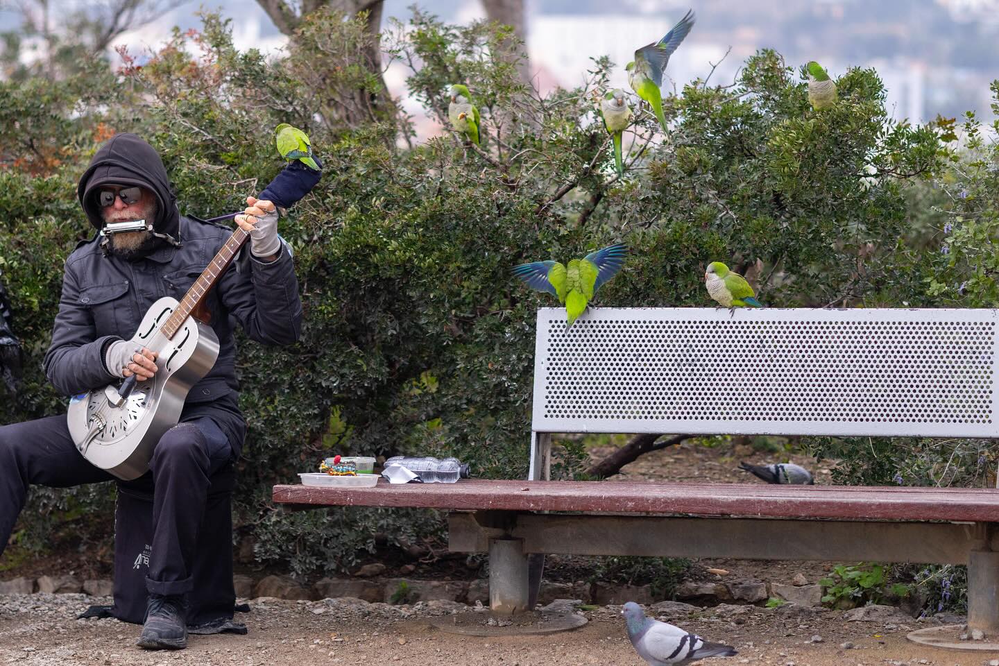 Photograph by Charlotte Gaillard