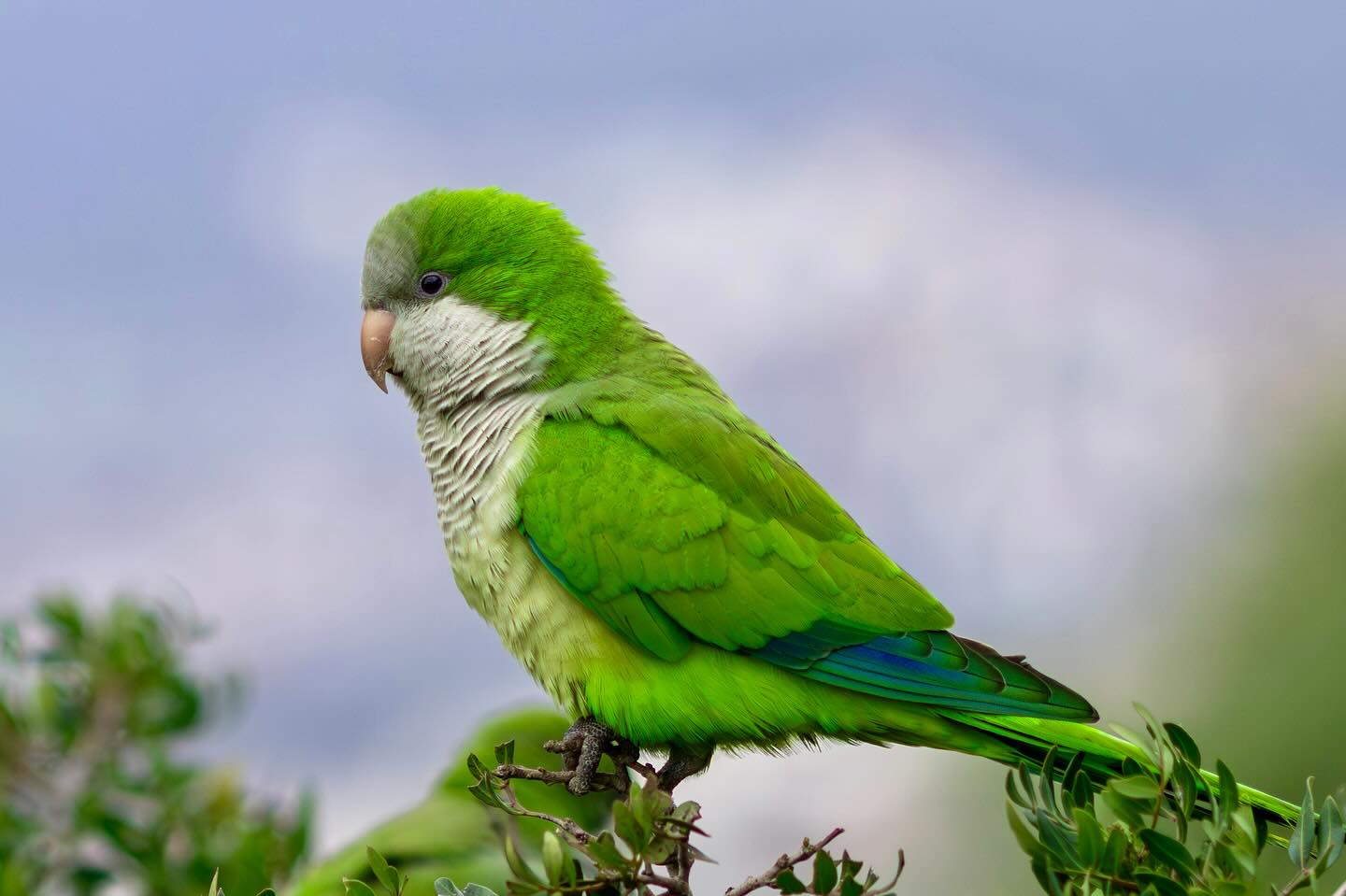 Photograph by Charlotte Gaillard