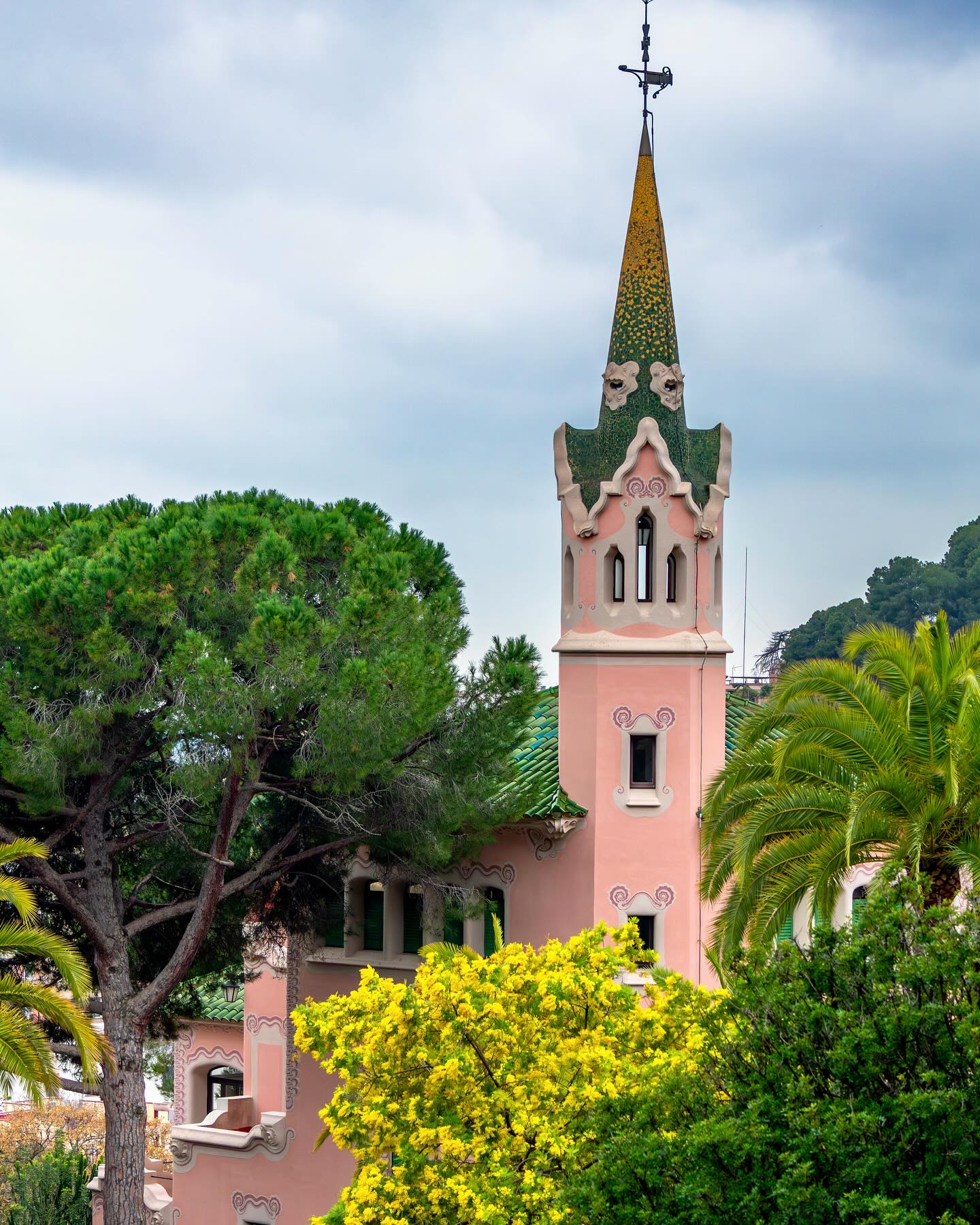 Photograph by Charlotte Gaillard