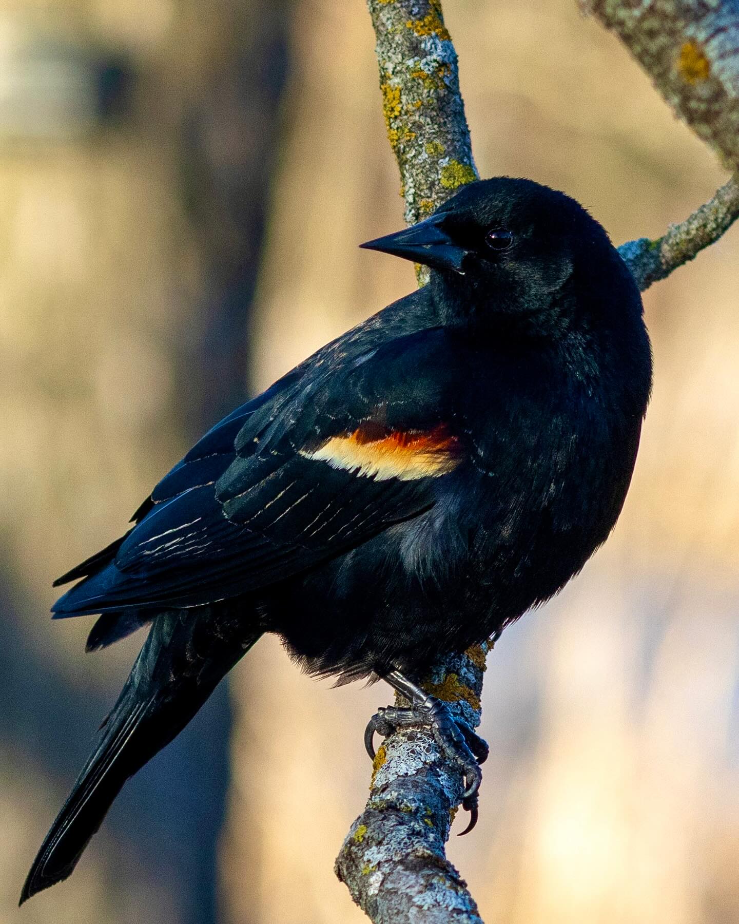 Photograph by Charlotte Gaillard