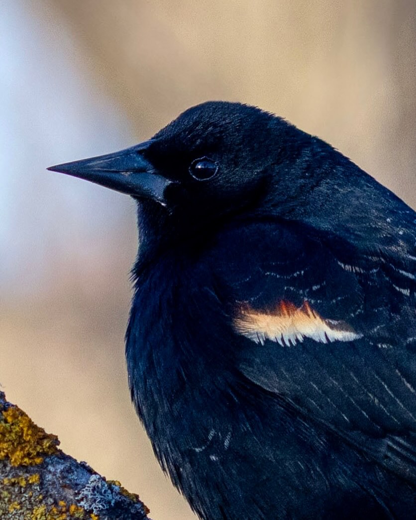 Photograph by Charlotte Gaillard