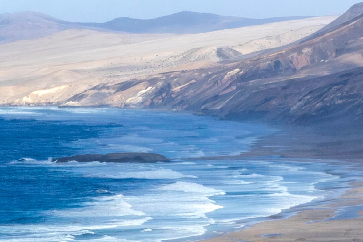 Photograph by Charlotte Gaillard