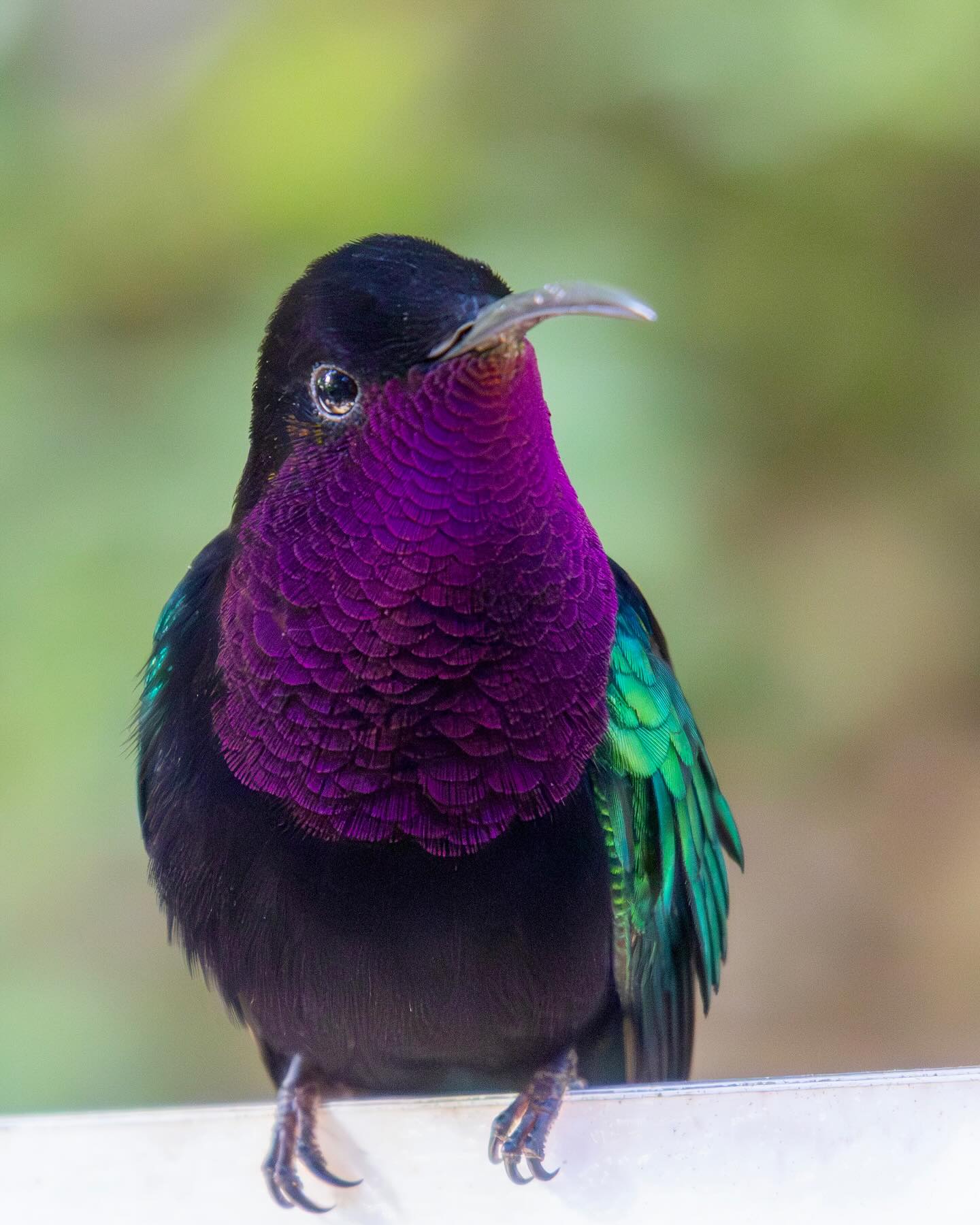 Photograph by Charlotte Gaillard