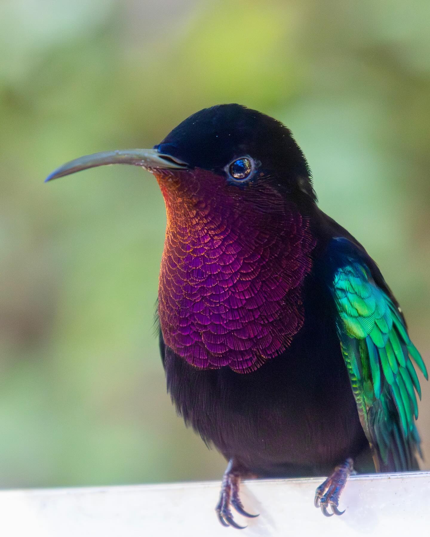 Photograph by Charlotte Gaillard