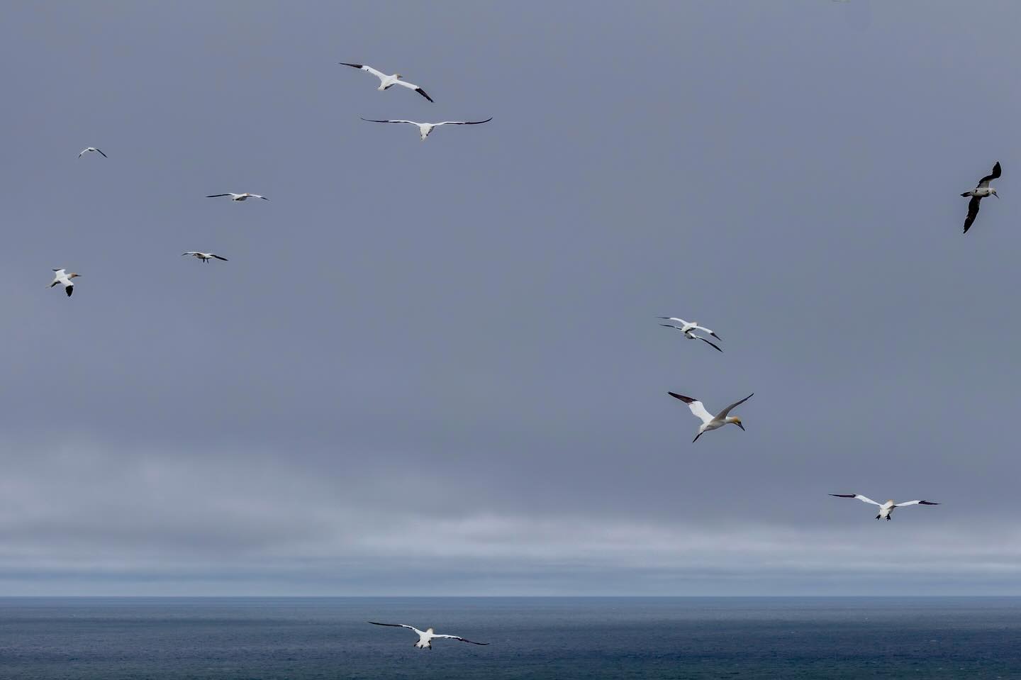 Photograph by Charlotte Gaillard