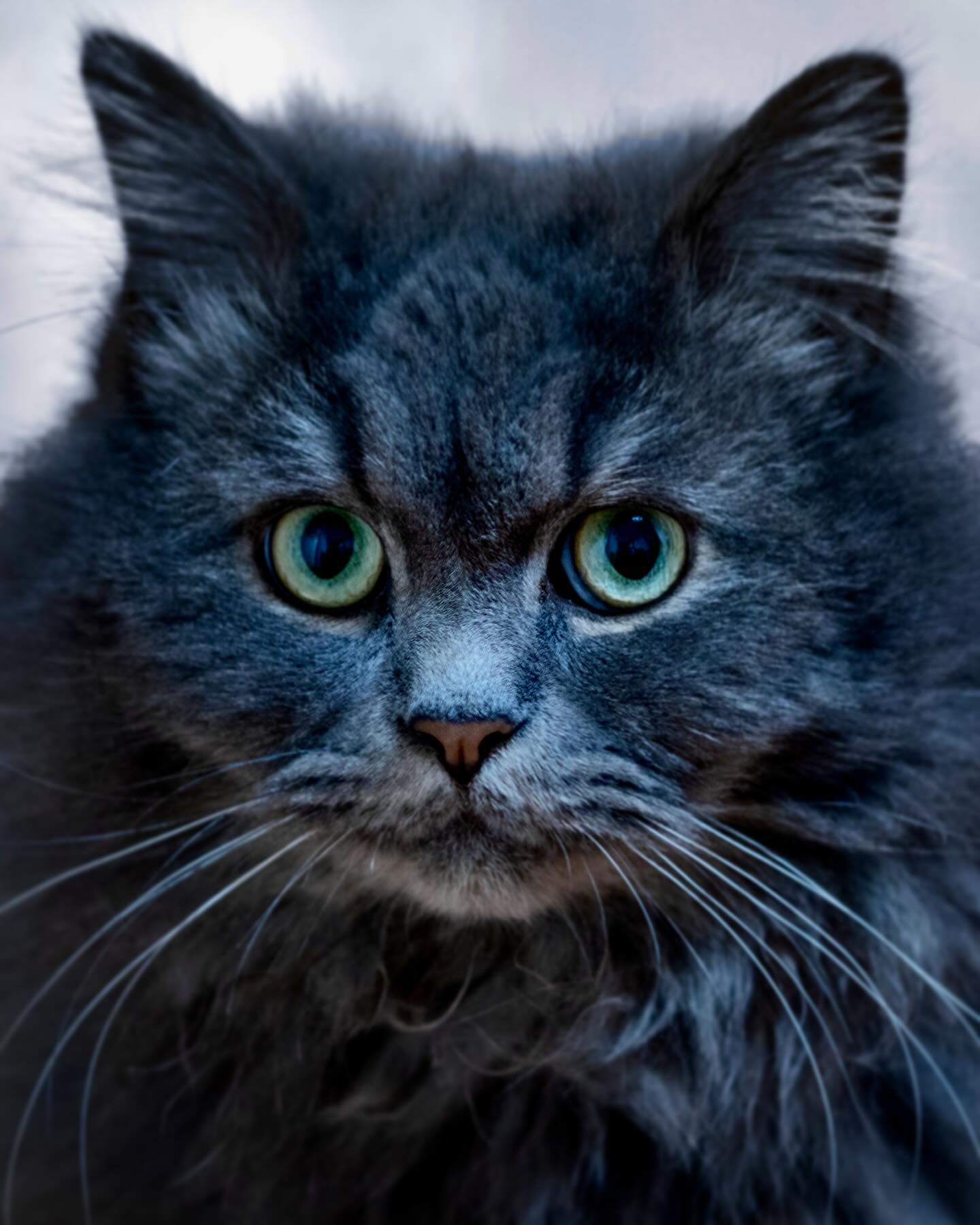 Photograph by Charlotte Gaillard