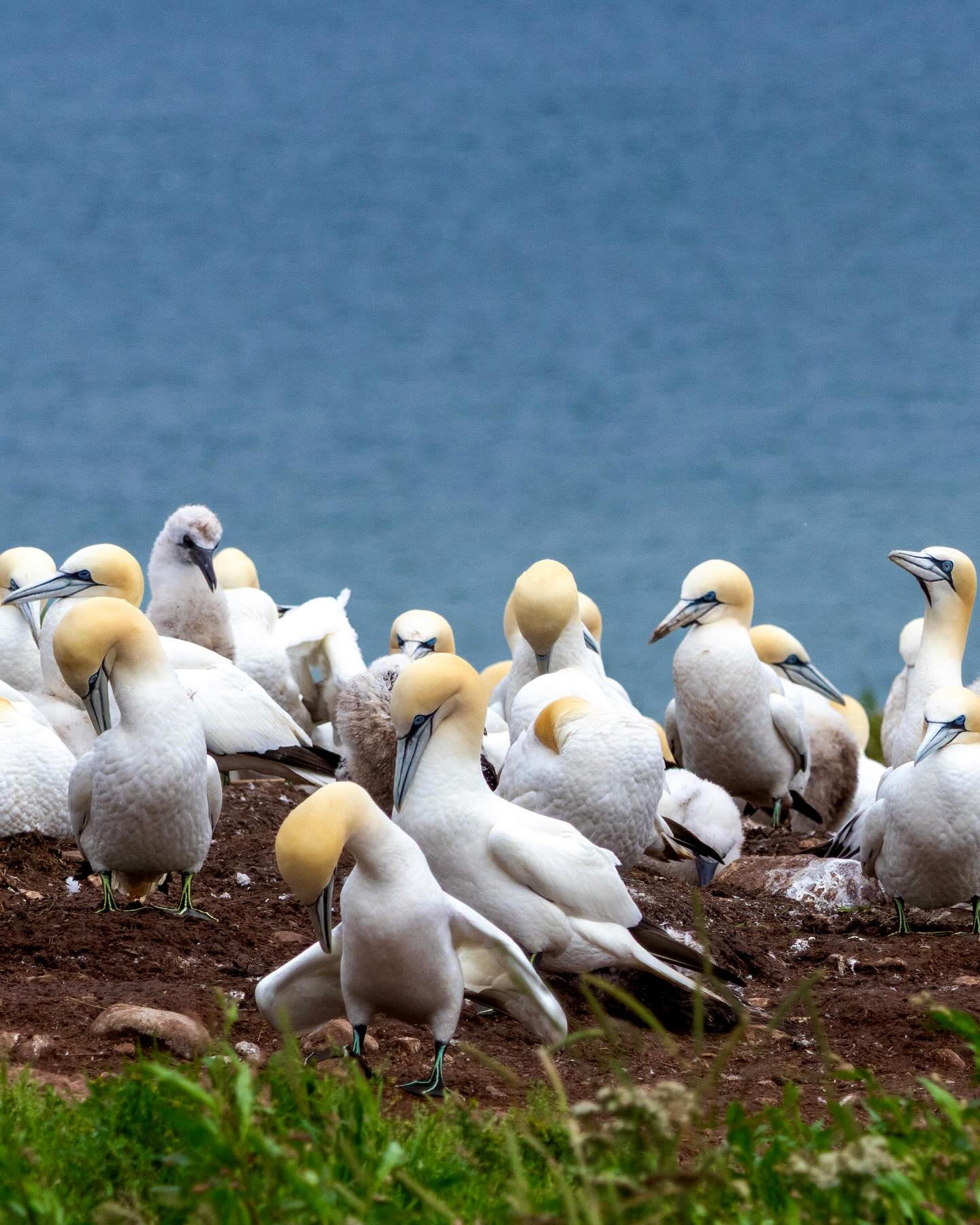 Photograph by Charlotte Gaillard