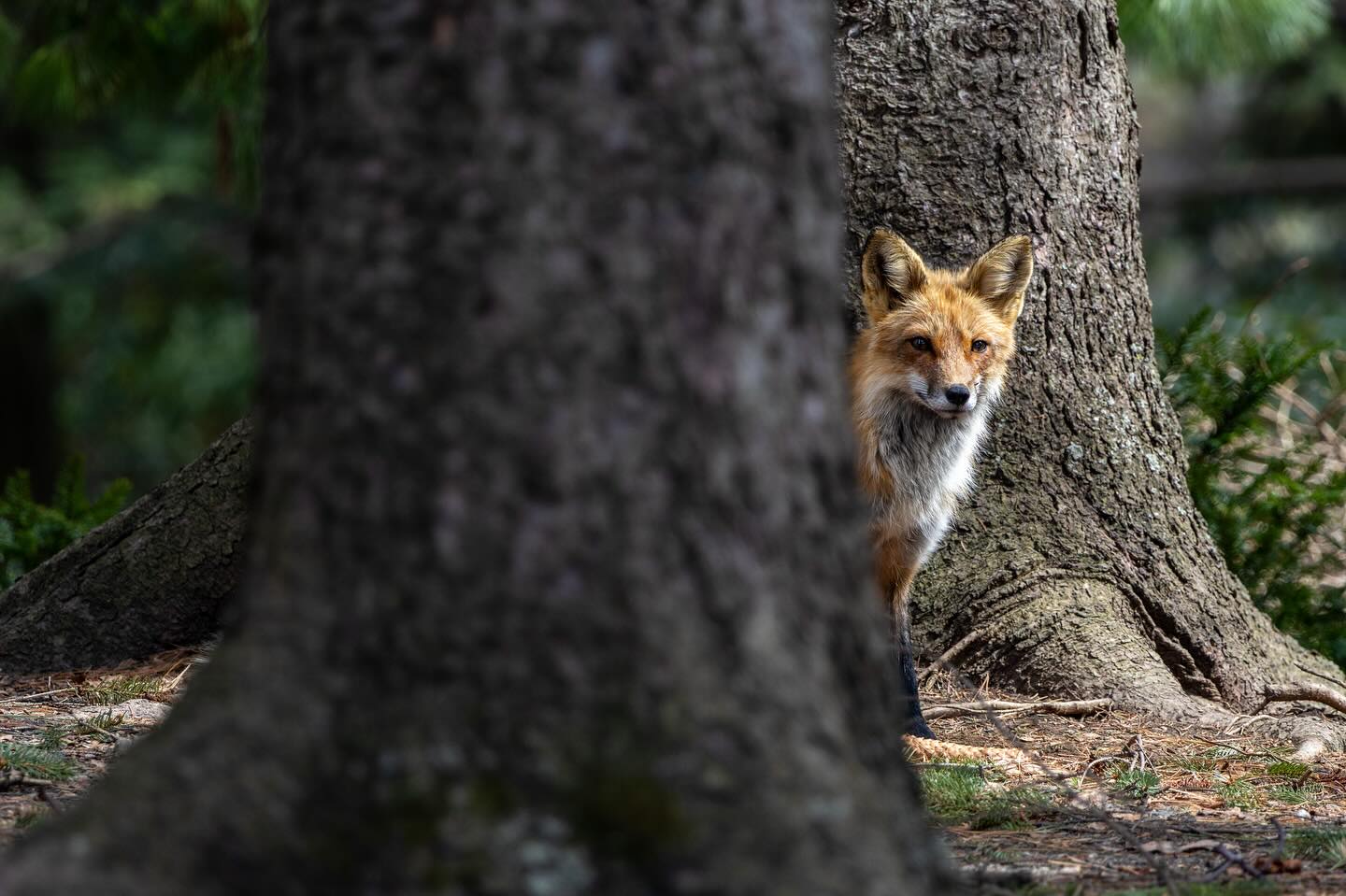 Photograph by Charlotte Gaillard