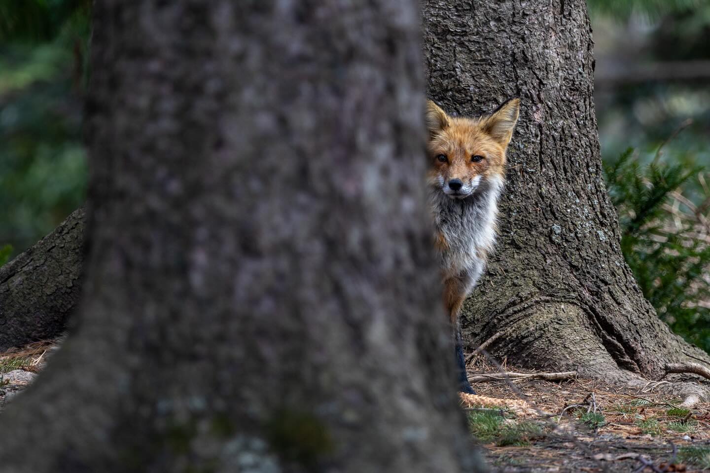 Photograph by Charlotte Gaillard