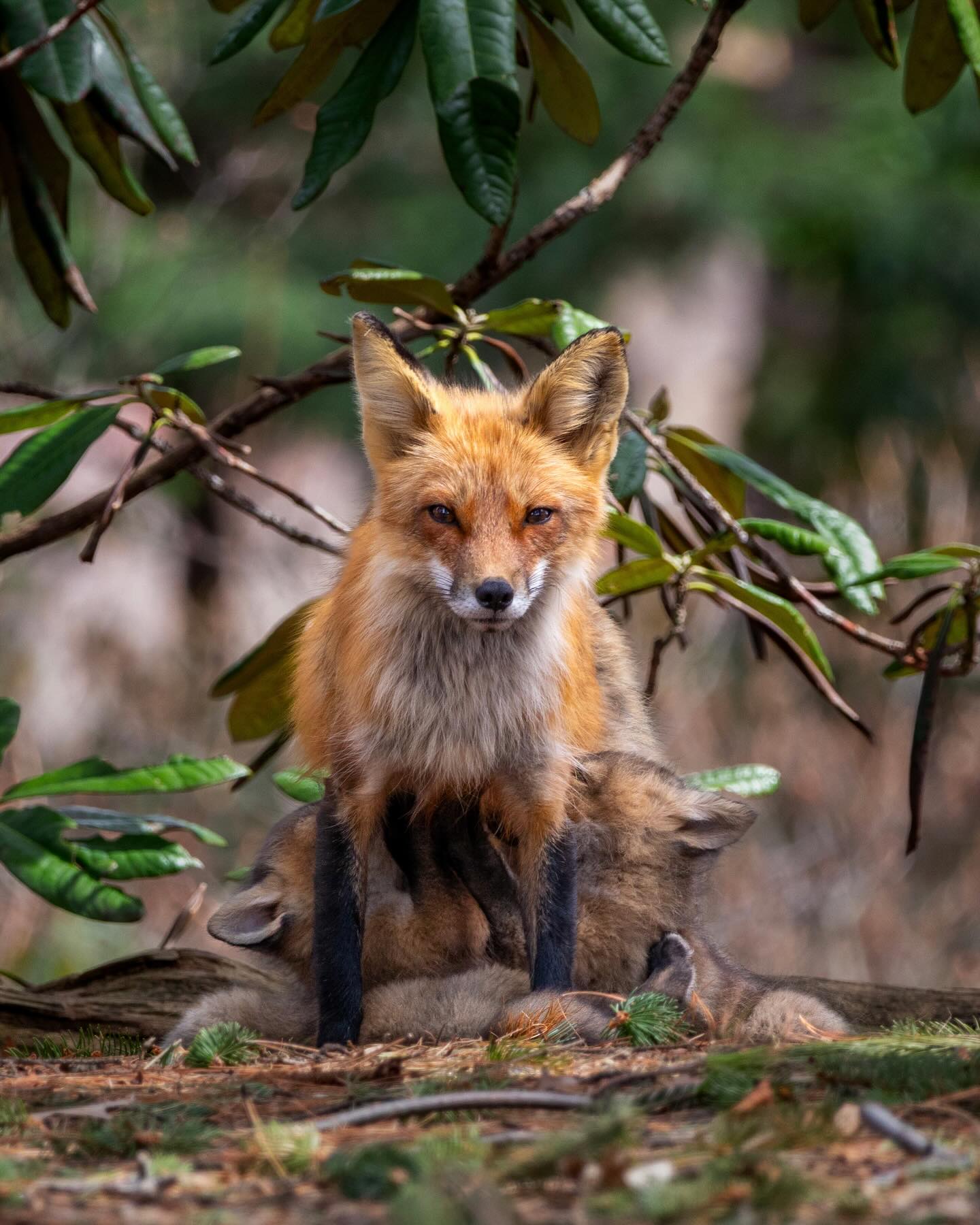 Photograph by Charlotte Gaillard