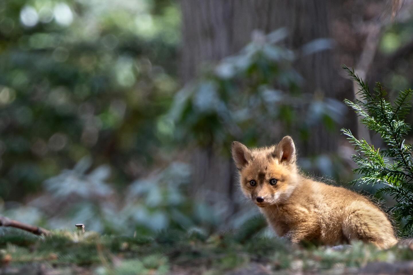 Photograph by Charlotte Gaillard