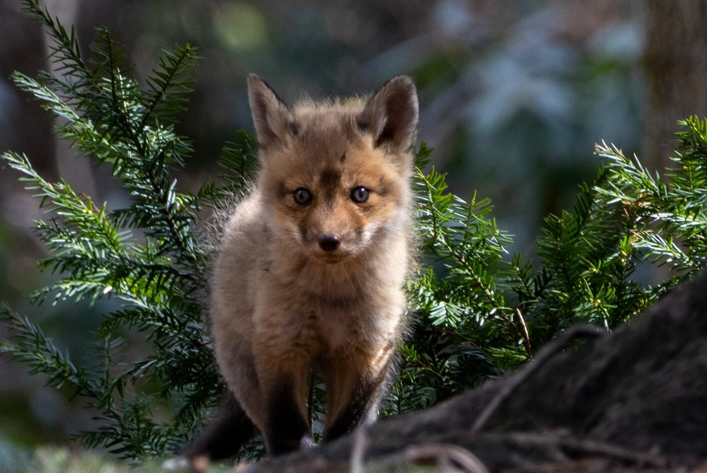 Photograph by Charlotte Gaillard