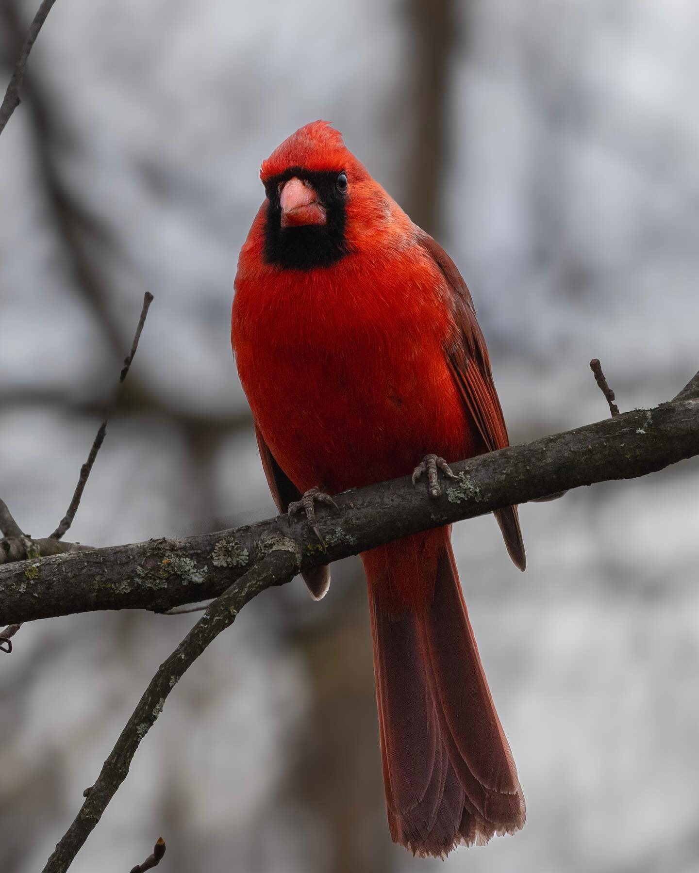 Photograph by Charlotte Gaillard