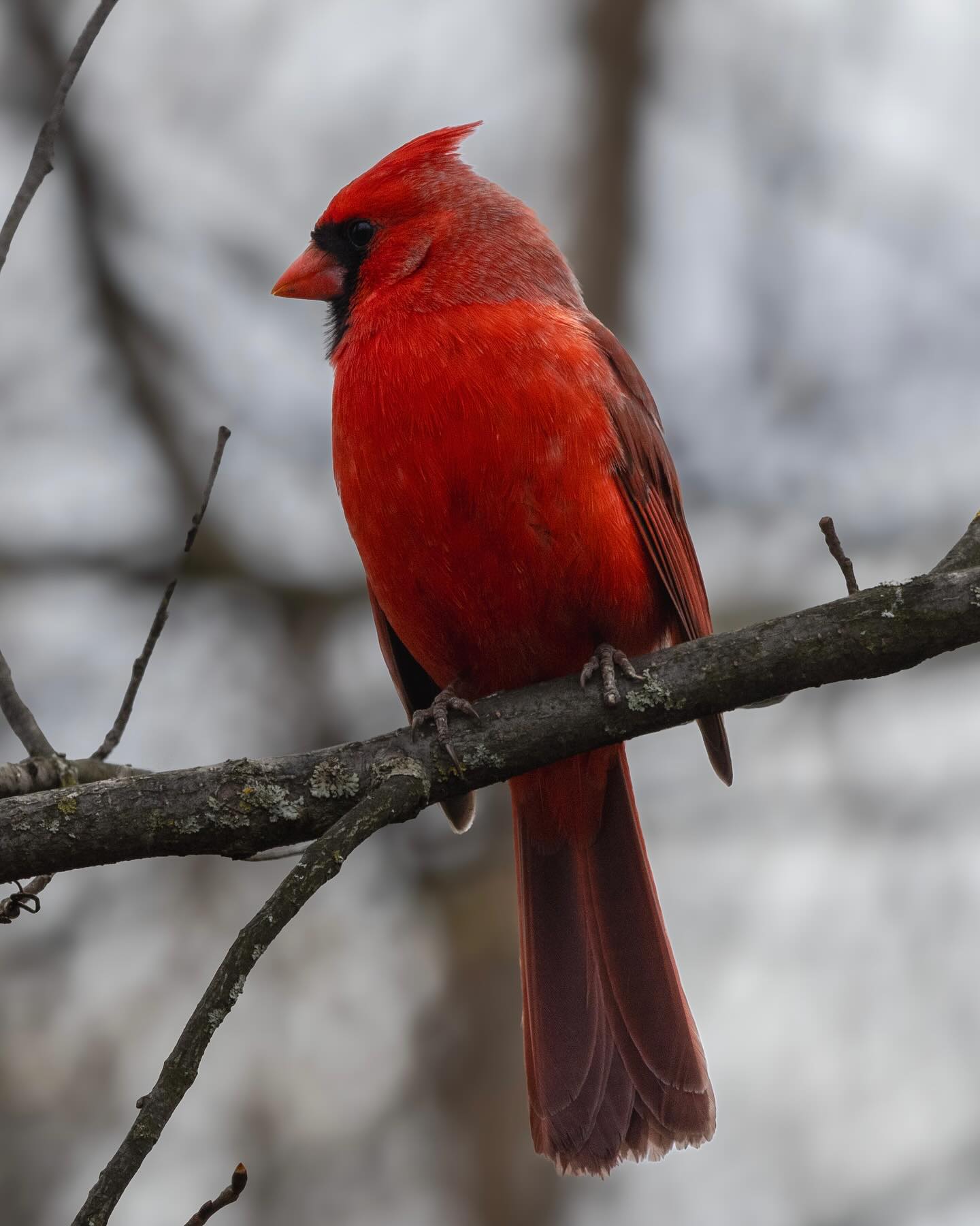 Photograph by Charlotte Gaillard