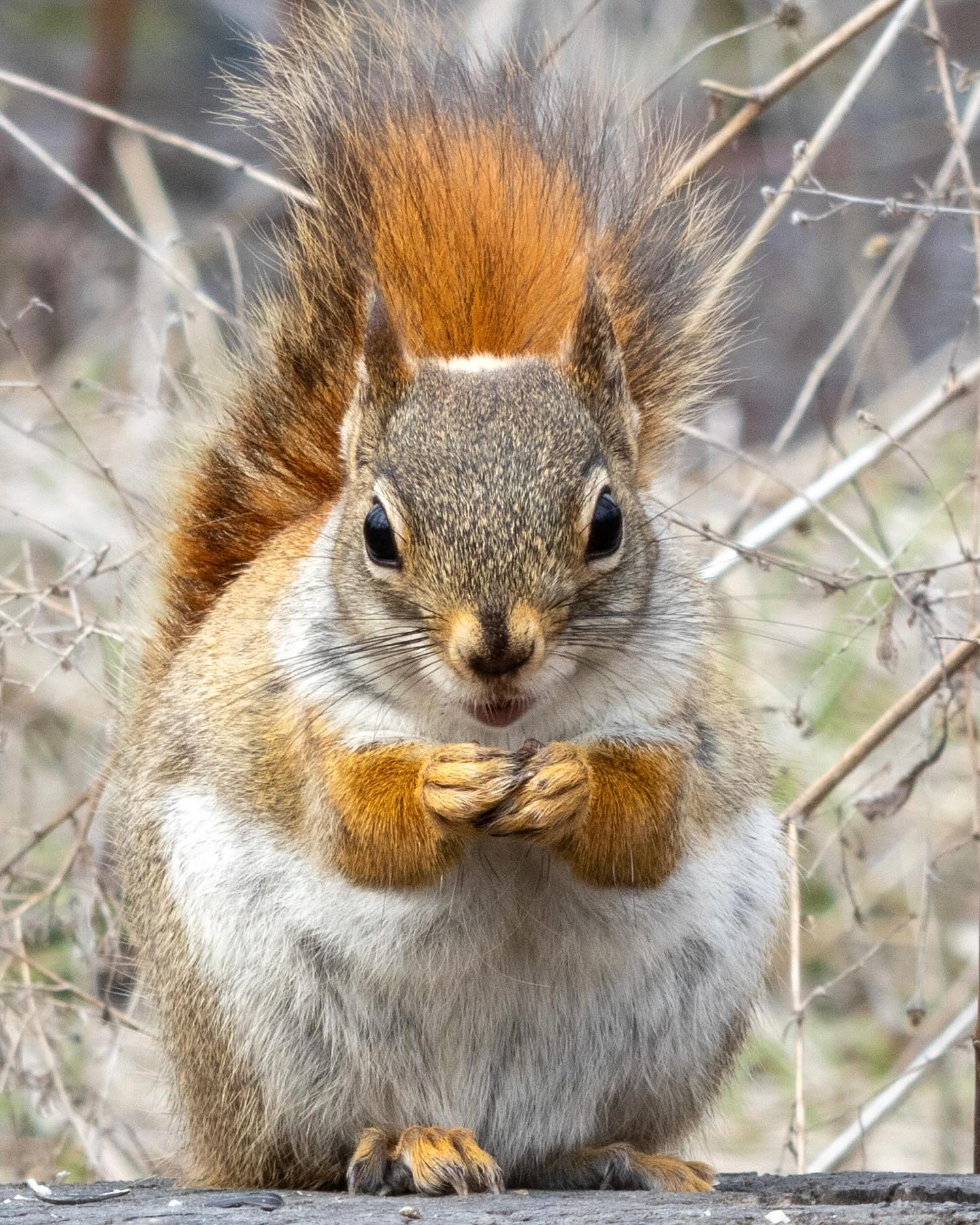 Photograph by Charlotte Gaillard