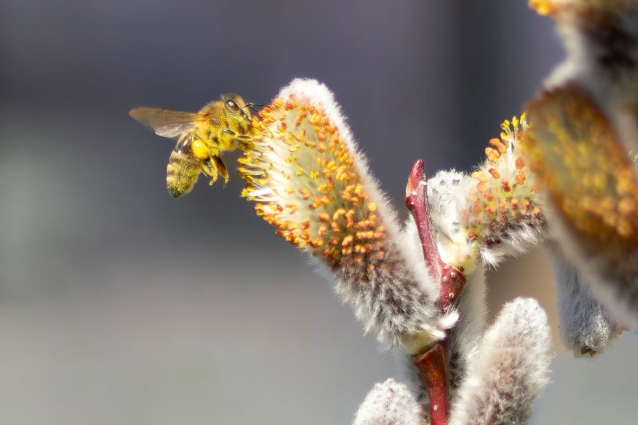 Photograph by Charlotte Gaillard