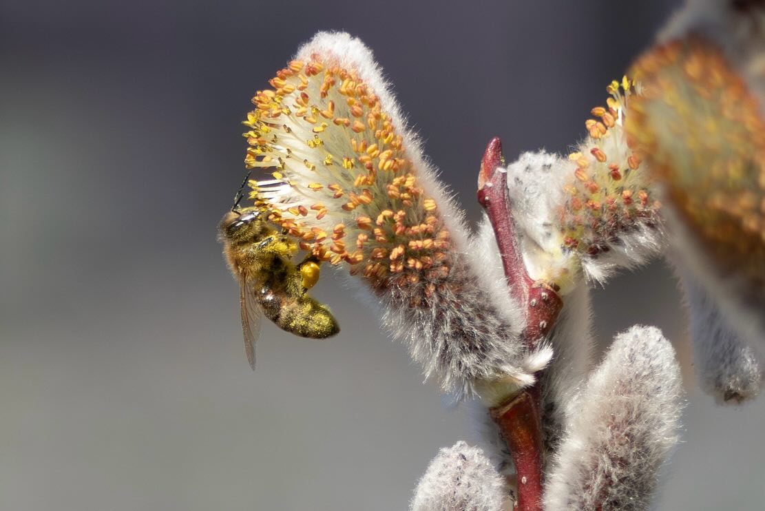 Photograph by Charlotte Gaillard