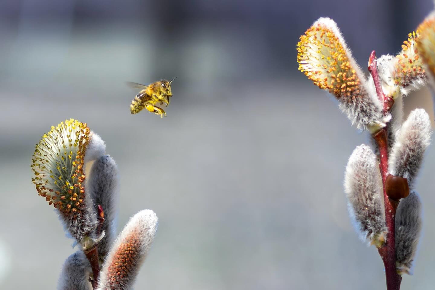 Photograph by Charlotte Gaillard