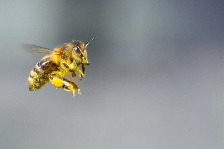 Photograph by Charlotte Gaillard