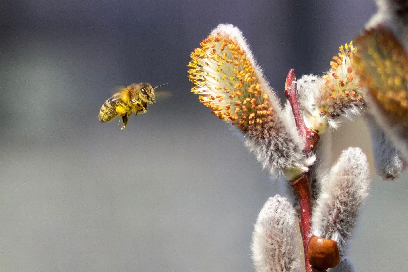 Photograph by Charlotte Gaillard