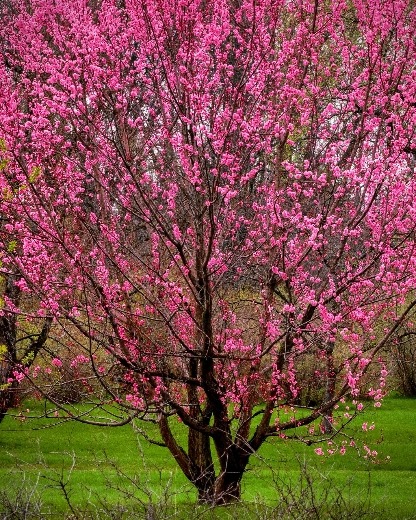 Photograph by Charlotte Gaillard