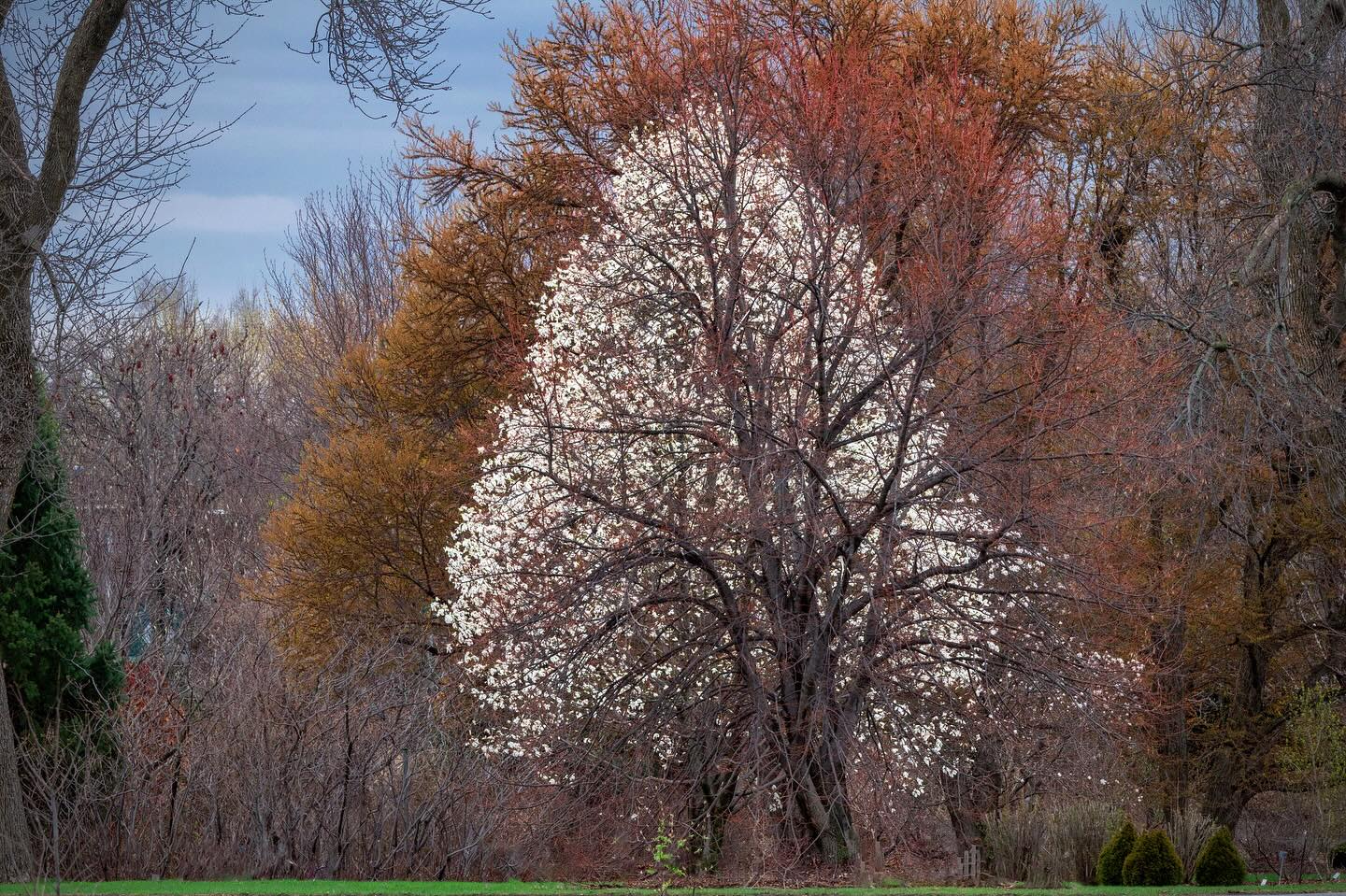 Photograph by Charlotte Gaillard