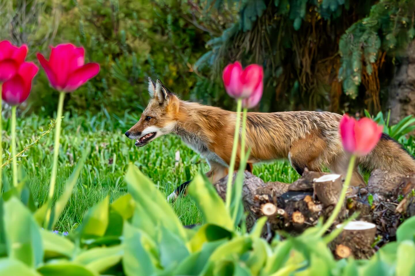 Photograph by Charlotte Gaillard