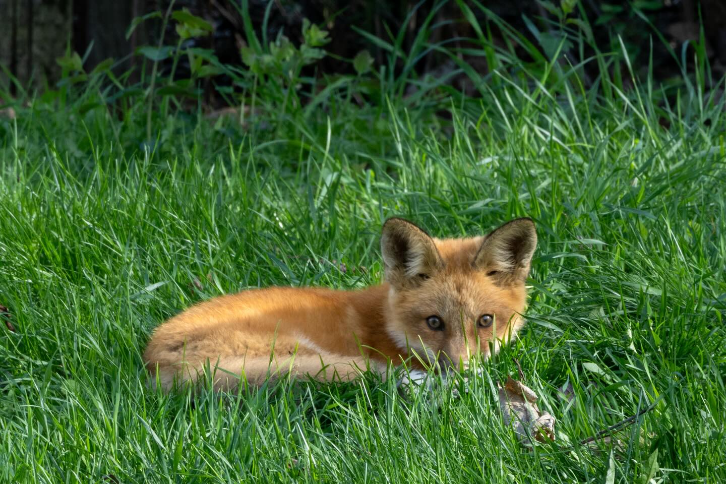 Photograph by Charlotte Gaillard