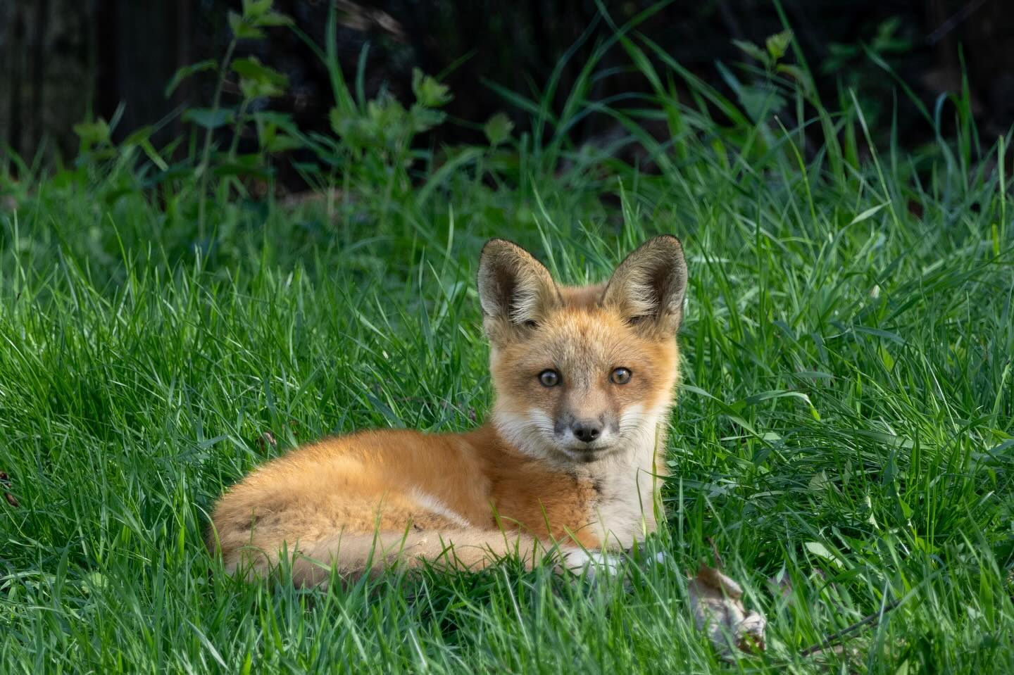 Photograph by Charlotte Gaillard