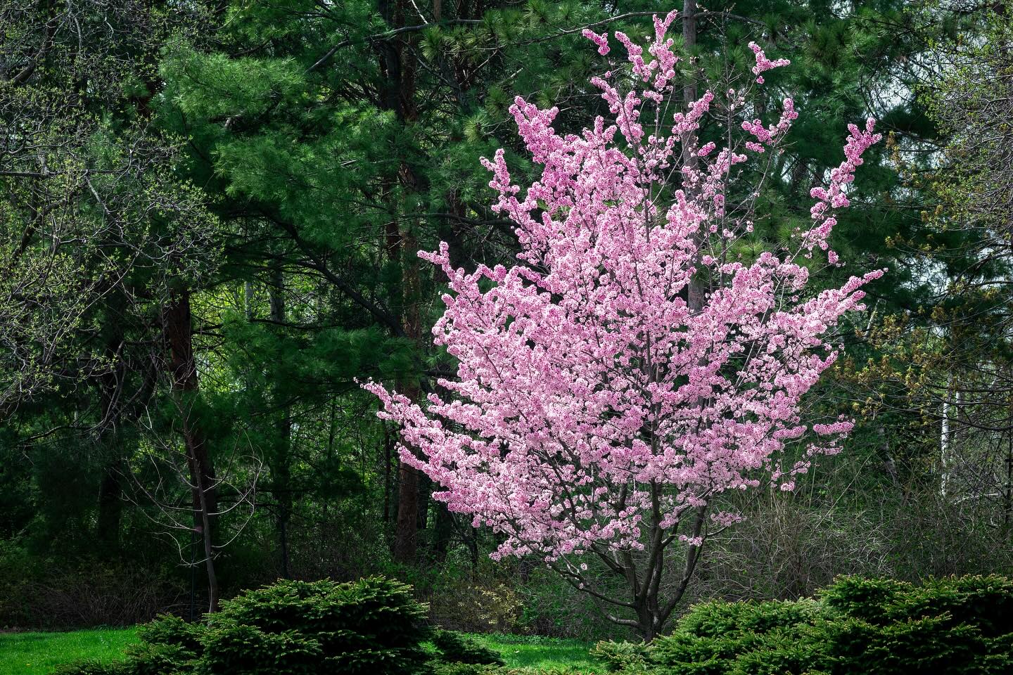 Photograph by Charlotte Gaillard