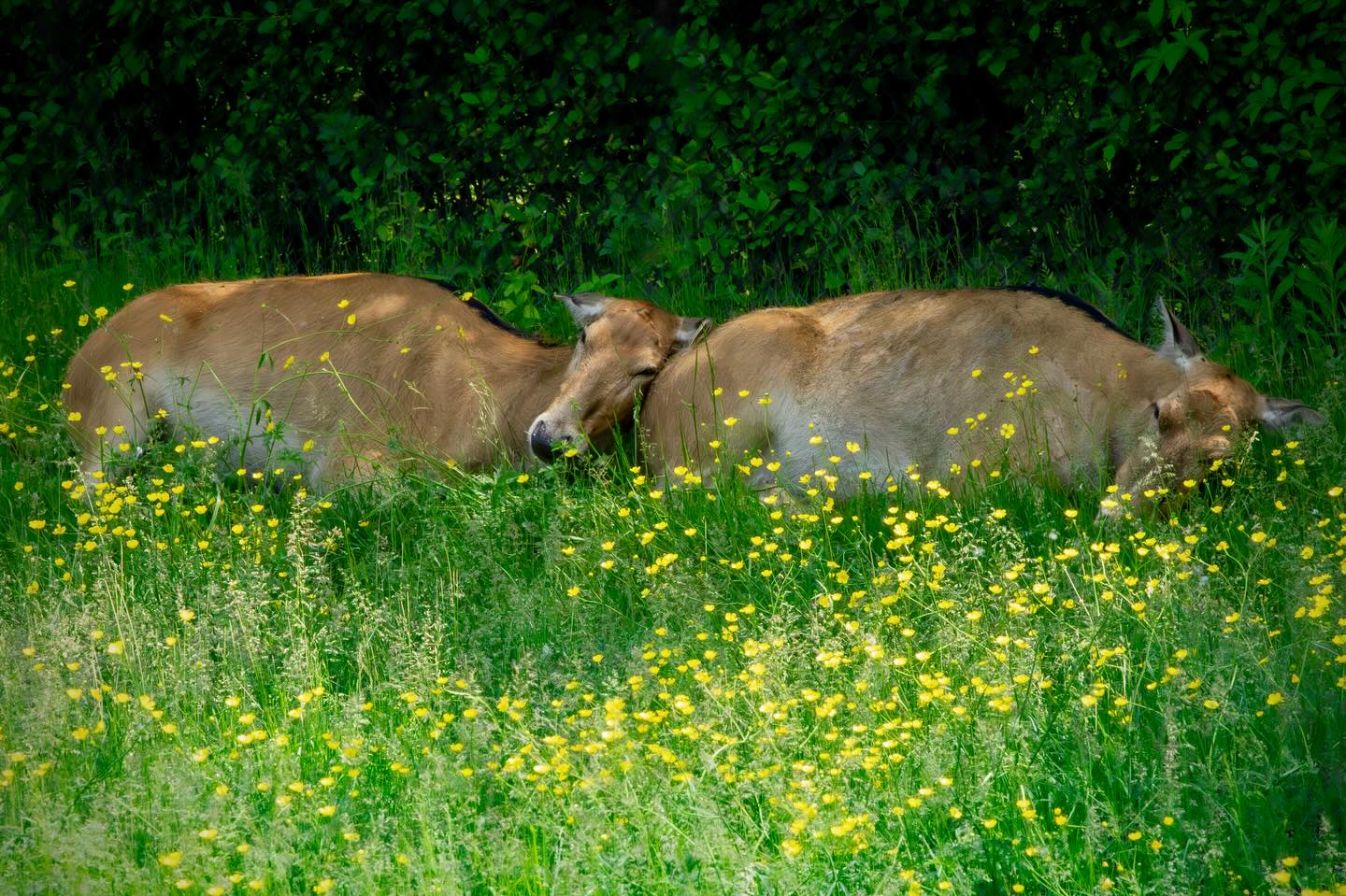 Photograph by Charlotte Gaillard