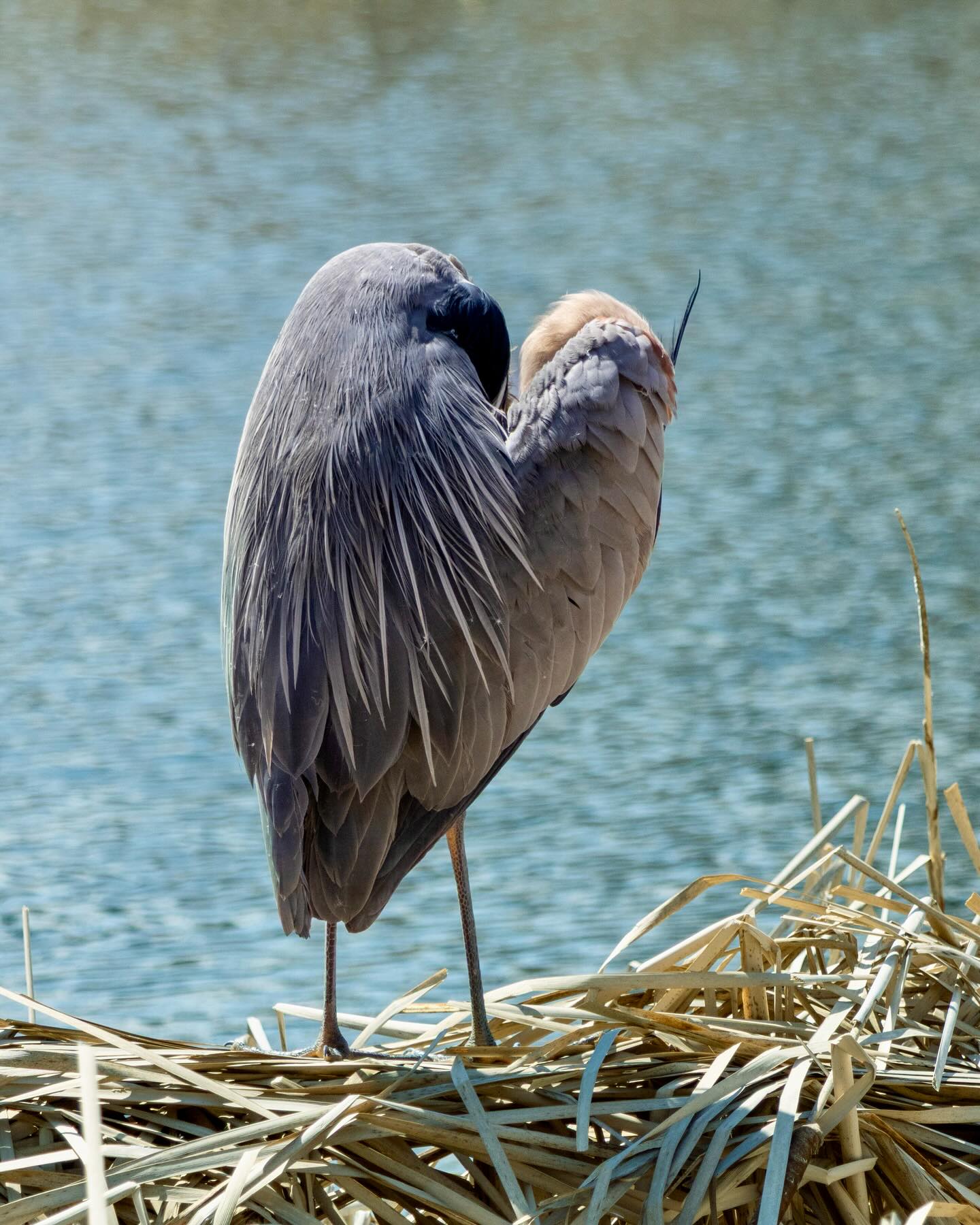 Photograph by Charlotte Gaillard