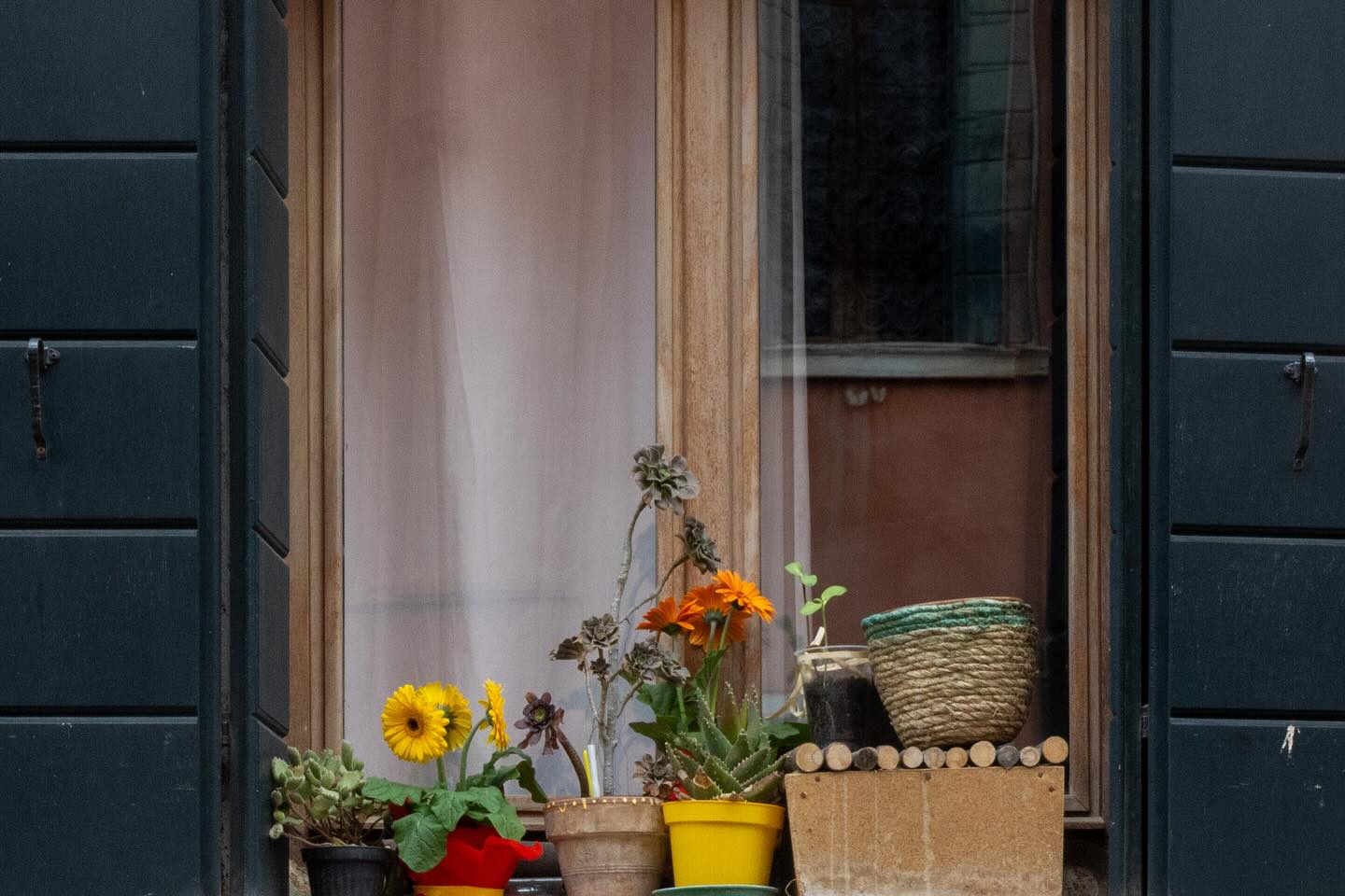 Photograph by Charlotte Gaillard