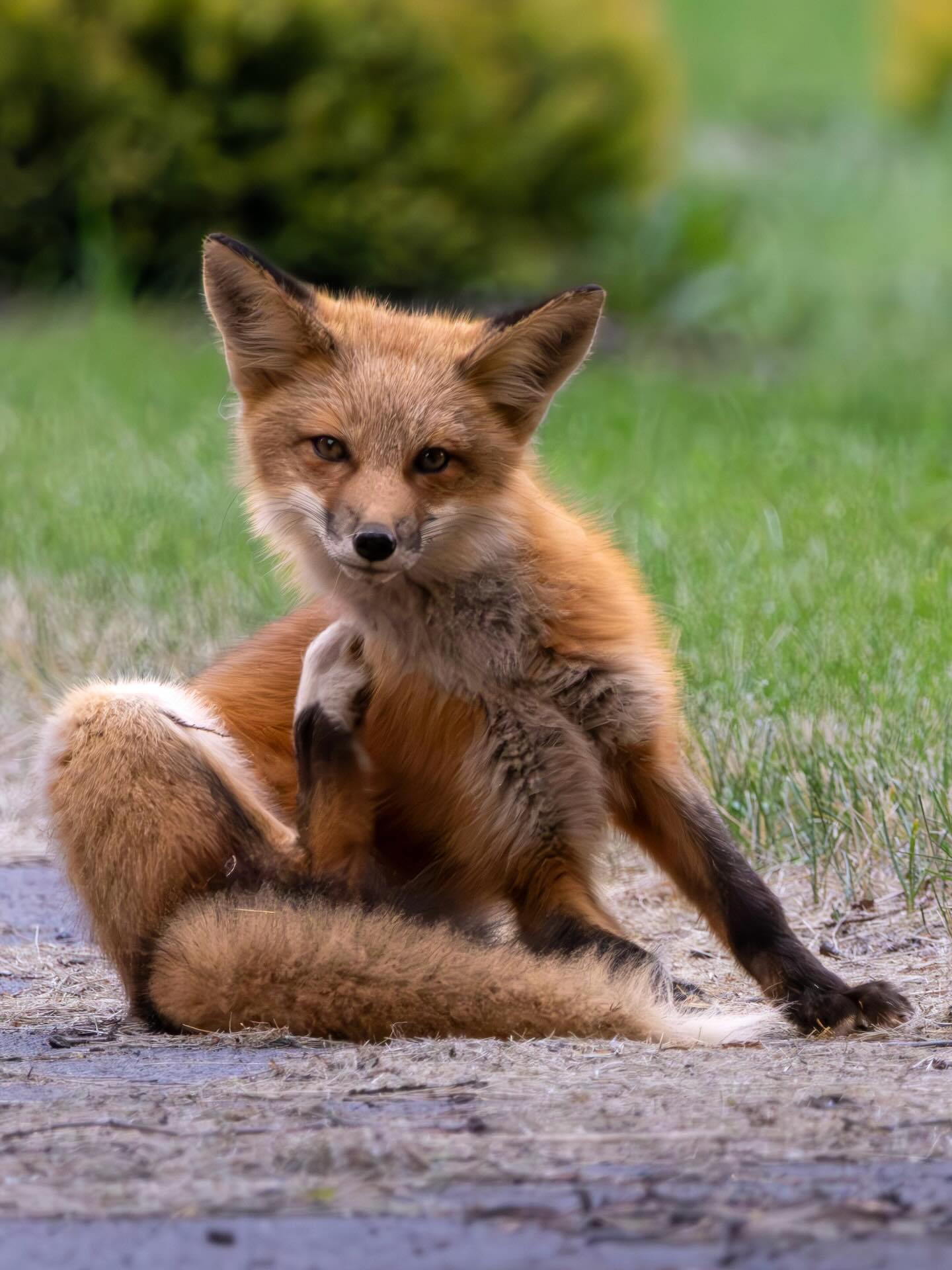 Photograph by Charlotte Gaillard