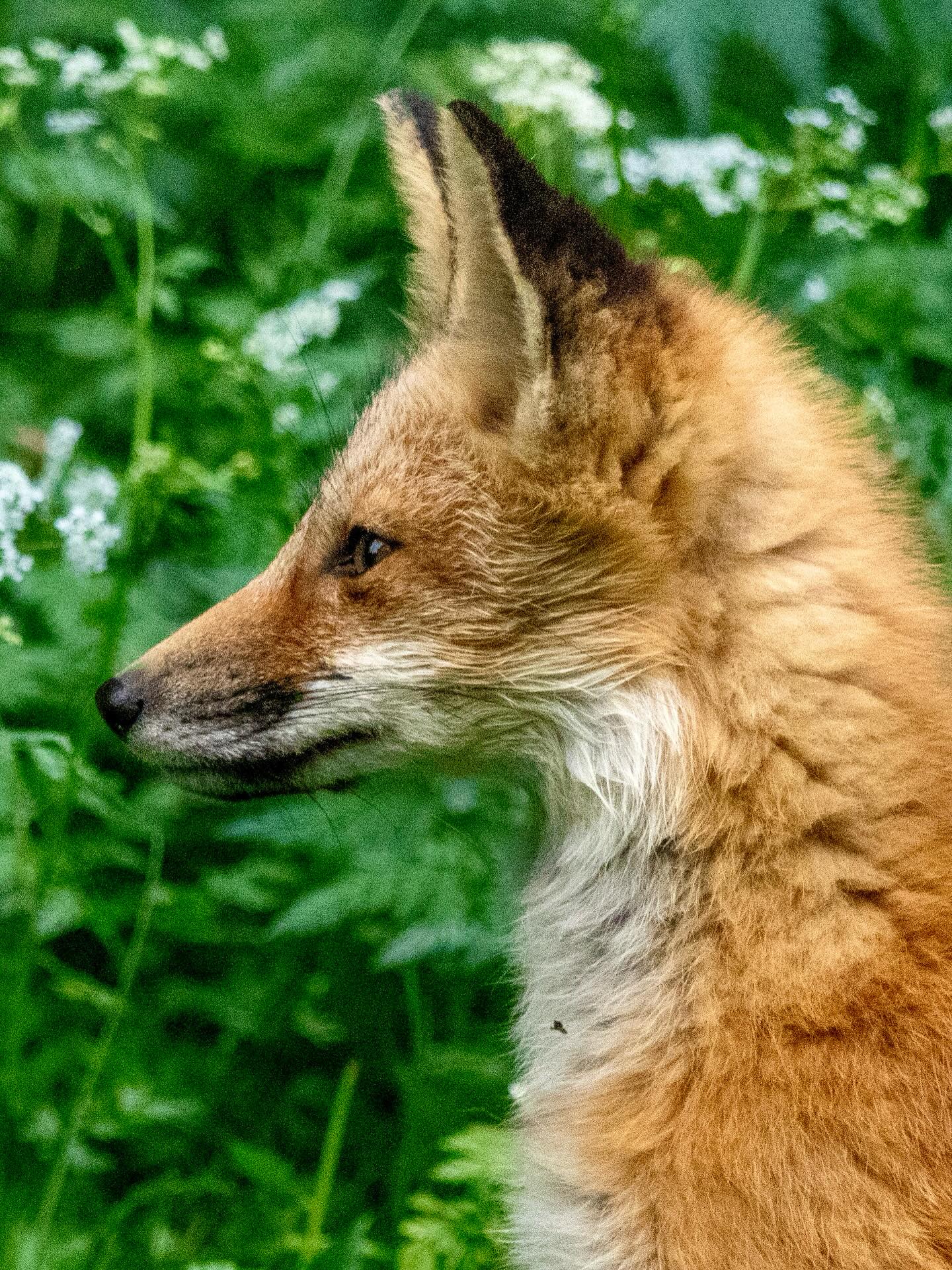 Photograph by Charlotte Gaillard