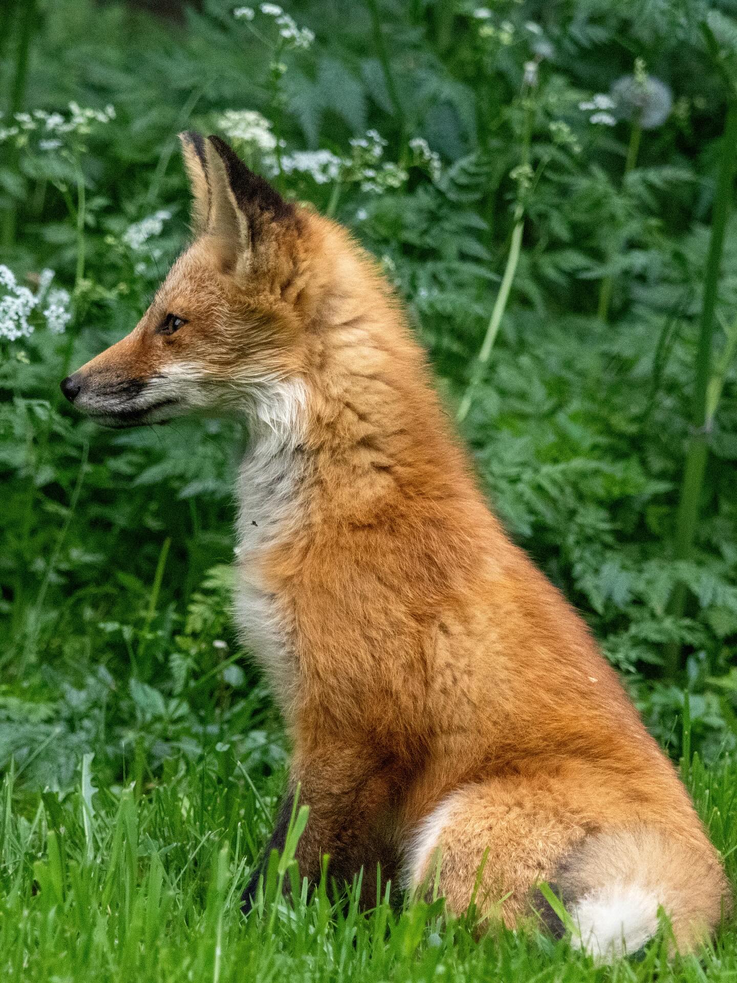 Photograph by Charlotte Gaillard